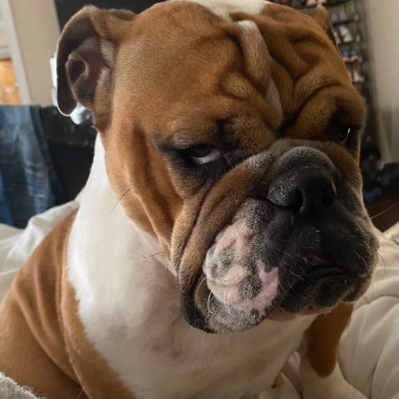 Meet your Posher, Carrie! Posh Ambassador!!🤩 - Picture 9 of 13